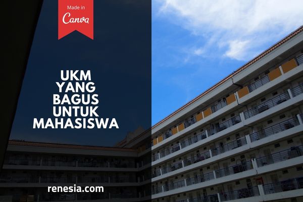 UKM Yang Bagus Untuk Mahasiswa