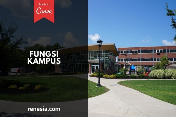 Fungsi Kampus